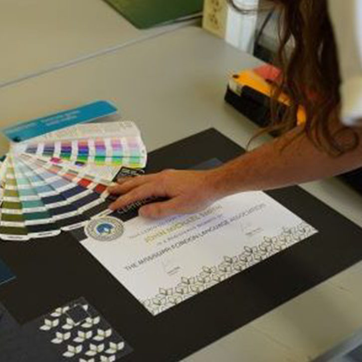 A student examines a wheel of color swatches.